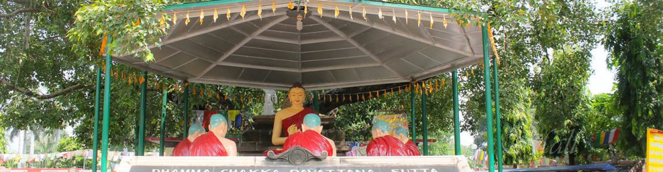 Bodhi Tree - Significant Landmark in Kashi, Varanasi