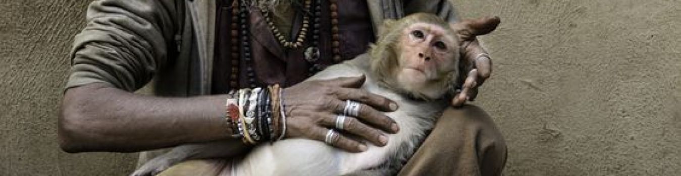 Ghat Lifestyle - Significant Landmark in Kashi, Varanasi