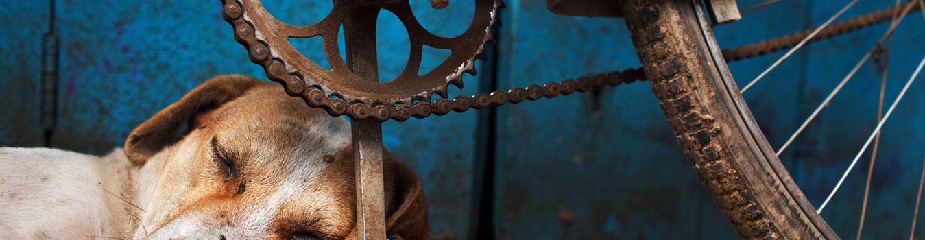 Random click in Varanasi Lanes - Significant Landmark in Kashi, Varanasi