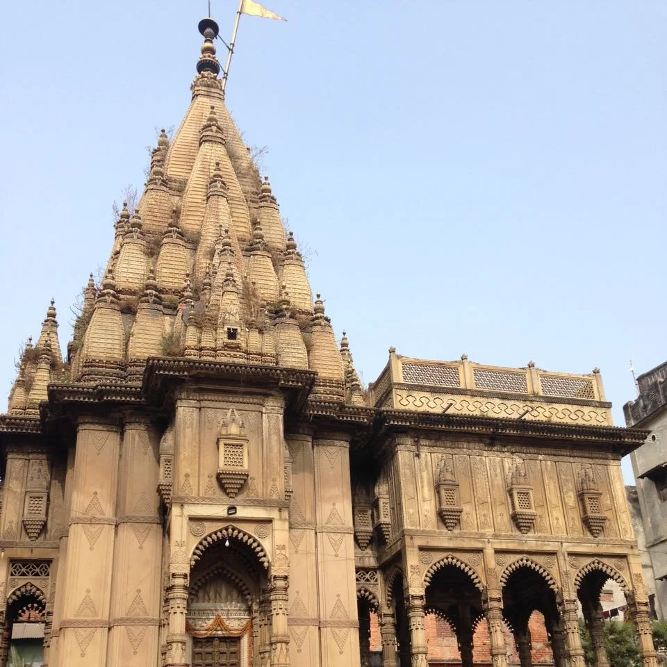 Death & Rebirth: The Night Trail